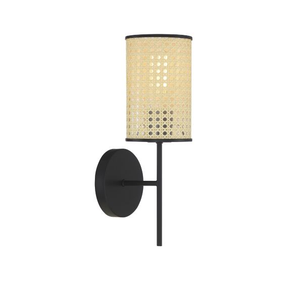 Meridian 1-Light Wall Sconce