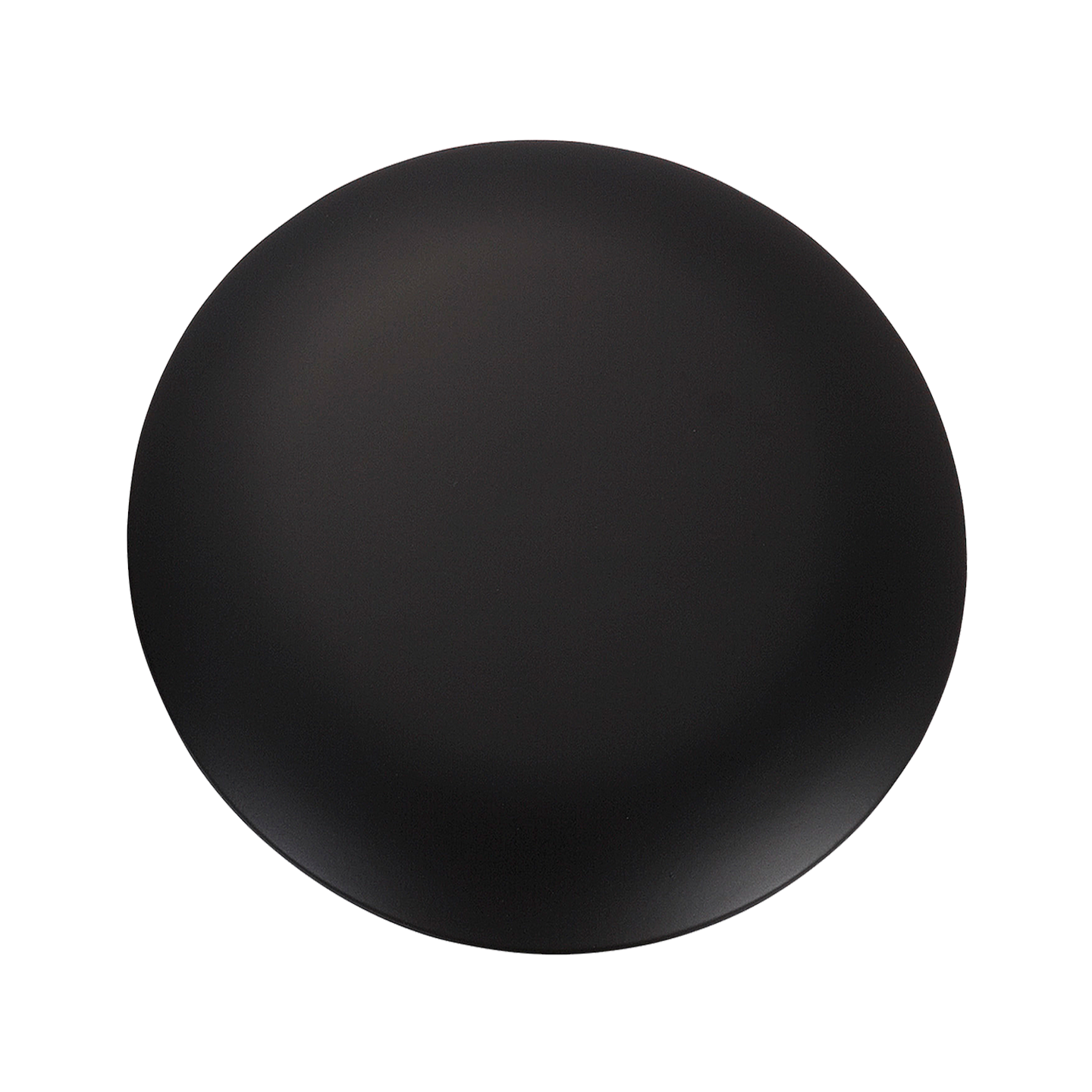 Discus Blanking Plate