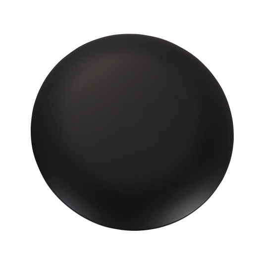 Discus Blanking Plate