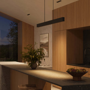 Pinpoint 48in Multi-spot Linear Pendant, Zero gravity canopy