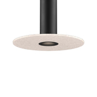 Pillar Mounting Reflector and 24in Felt Disk for PILXX