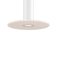 Pillar Mounting Reflector and 24in Felt Disk for PILXX
