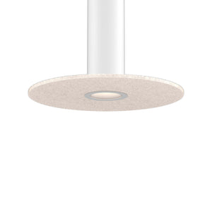 Pillar Mounting Reflector and 24in Felt Disk for PILXX
