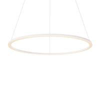 Circa 24in Circle pendant, 5CCT
