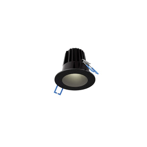 RGR 2 Inch Round Indoor/Outdoor Regressed Down Light