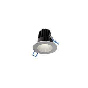 RGR 2 Inch Round Indoor/Outdoor Regressed Down Light