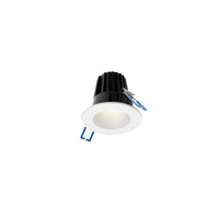 RGR 2 Inch Round Indoor/Outdoor Regressed Down Light