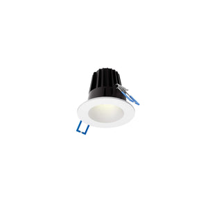 RGR 2 Inch Round Indoor/Outdoor Regressed Down Light