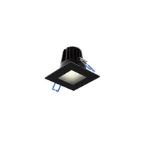 RGR 2 Inch Square Indoor/Outdoor Regressed Down Light