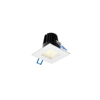 RGR 2 Inch Square Indoor/Outdoor Regressed Down Light
