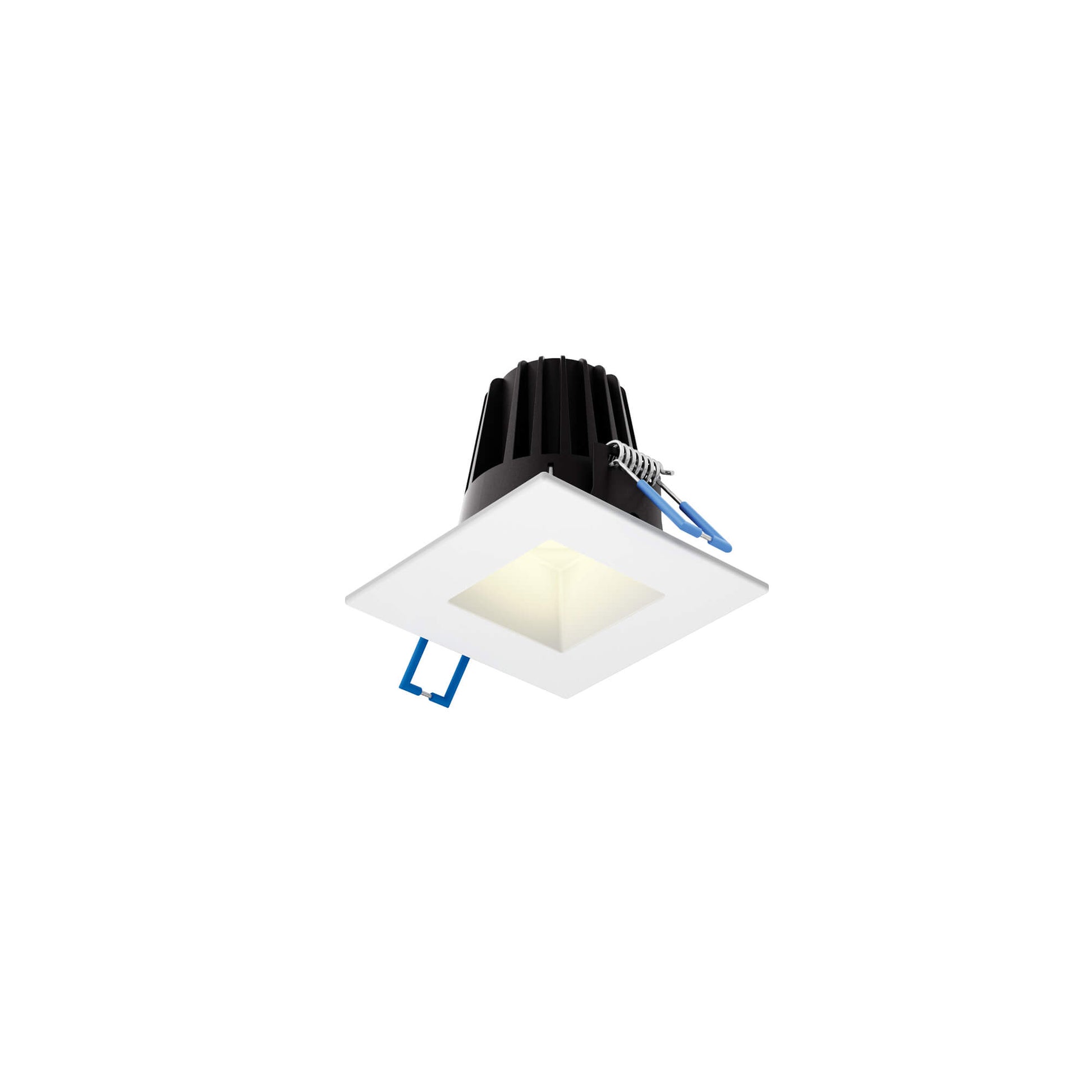 RGR 2 Inch Square Indoor/Outdoor Regressed Down Light