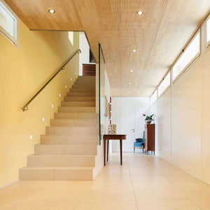 RGR Round Indoor/Outdoor Regressed Down Light
