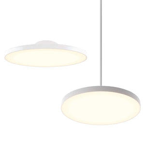 Fusion 21in trimless 2in1 with stems, 5CCT, 120-347v, 0-10v/Triac