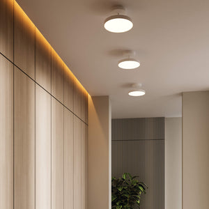 Fusion 21in trimless 2in1 with stems, 5CCT, 120-347v, 0-10v/Triac